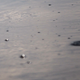 Illustration for article titled Shocking Photos from the Water Sports Site of the Rio Olympics